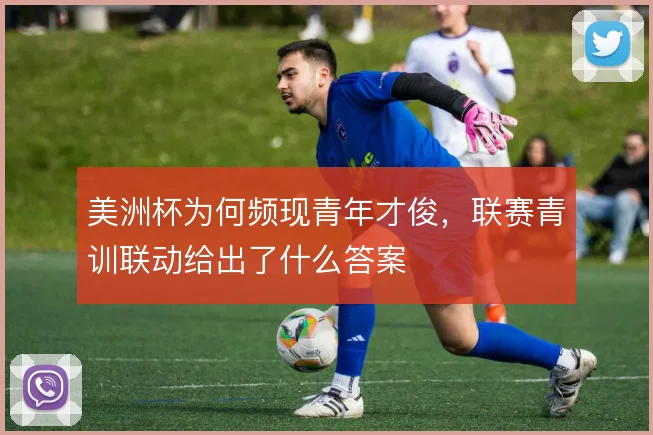 美洲杯为何频现青年才俊,联赛青训联动给出了什么答案