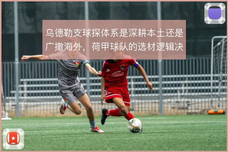 乌德勒支球探体系是深耕本土还是广撒海外,荷甲球队的选材逻辑决定上限